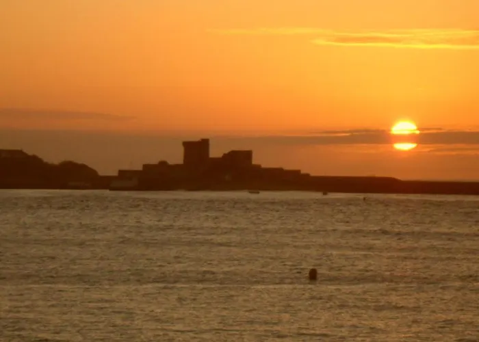 Bed & Breakfast Toki Alai